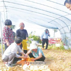 安徽界首“水韻大魯”夢圓了